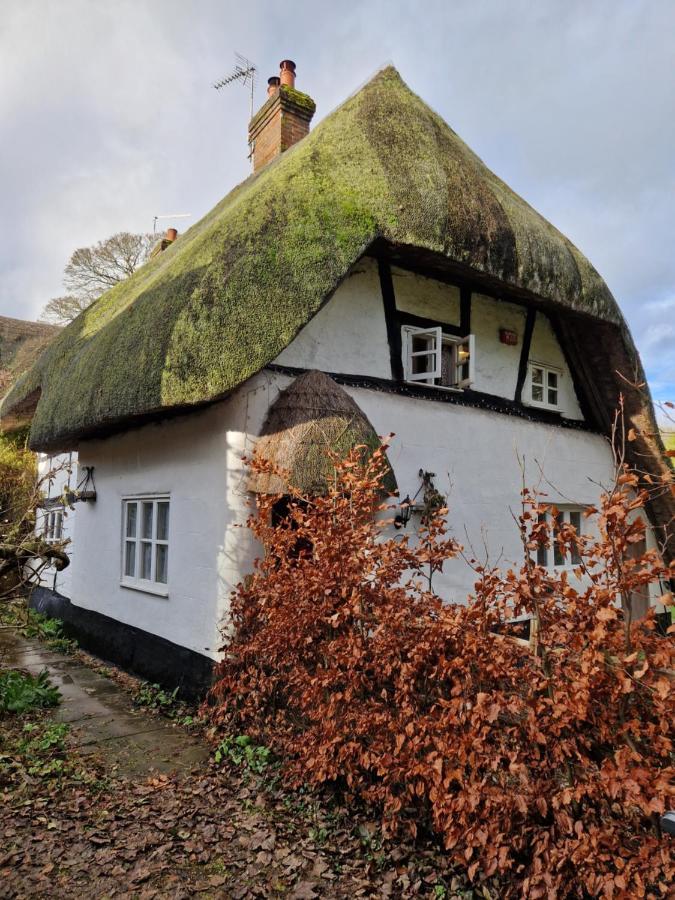 Delightful 3Bed Thatched Cottage Stockbridge  Exterior foto